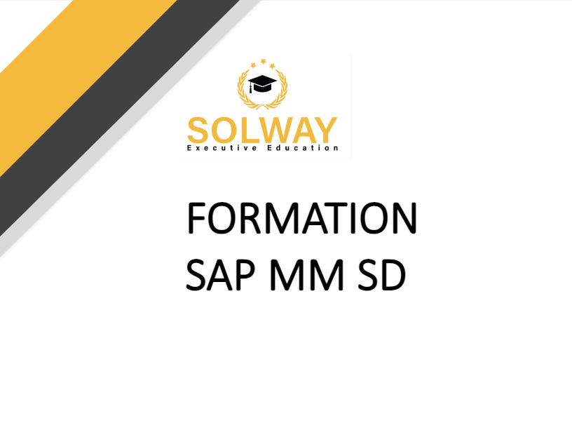 Consultant ERP SAP MM SD (achats ventes)